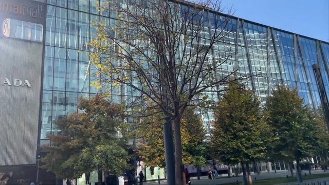 VLOG :моя первая съемка, годовщина отношений, что подарить парню||танцы, учеба, aesthetic?? смотреть онлайн