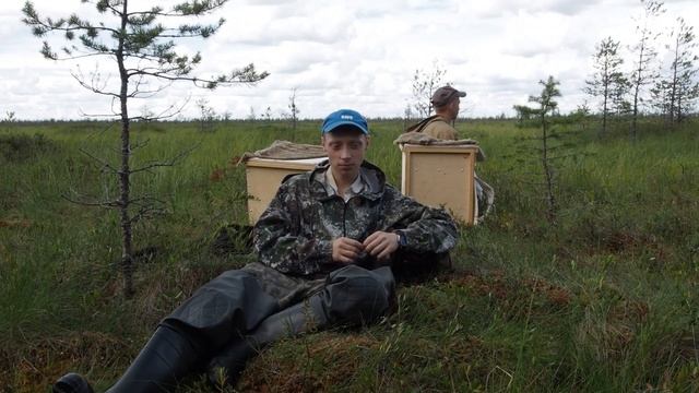 Северный мёд смотреть онлайн