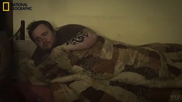 дикий кабан смотреть онлайн