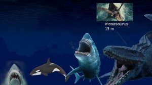 Sea Monster Size Comparison