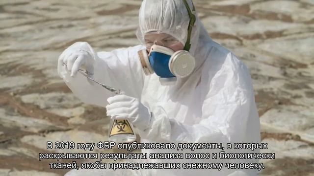 Ученый обнаружил у снежного человека ДНК белого медведя смотреть онлайн