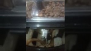 Кофемашина KRUPS EA829810 замена нижнего поршня