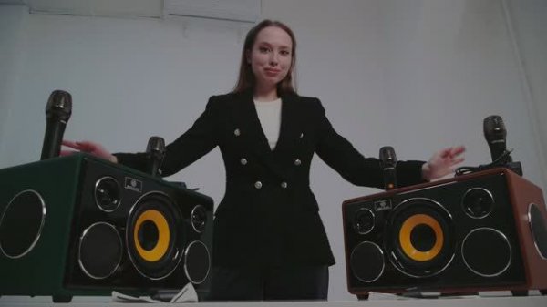 NOIR-audio MAX-300 акустическая система с двумя беспроводными микрофонами и колонкой 300 Ватт. Обзор