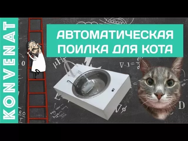 Автопоилка для кота. смотреть онлайн