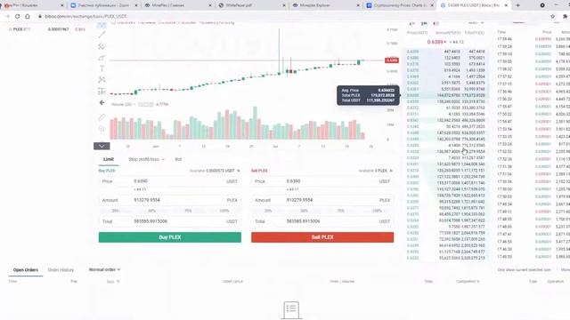 Технический вебинар MinePlex Banking с Владимиром Родинка за 22 07 2021 смотреть онлайн