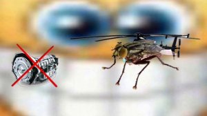 песня а муха тоже вертолет