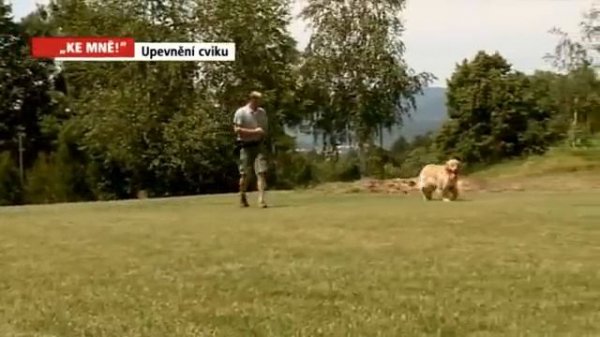 d-control instruktážní video