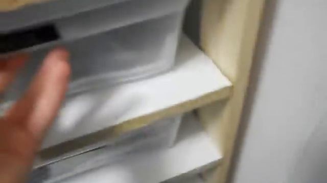 My Ball Python Rack And Current Collection смотреть онлайн