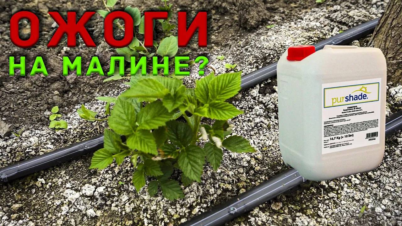 Против ожогов выход есть