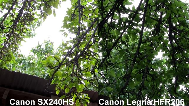 Canon SX240HS vs Canon Legria HF R206 смотреть онлайн