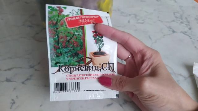 Обзор фиалки, и вкусняшки для моих цветочков! смотреть онлайн