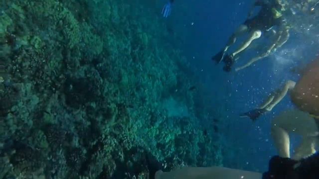 Snorkeling in Maui at "Bird Island" for Angry Birds Movie смотреть онлайн