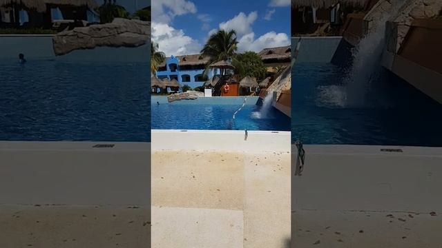 Iberostar Paraiso. Мексика. Часть 4. Территория Lindo и Maya. смотреть онлайн