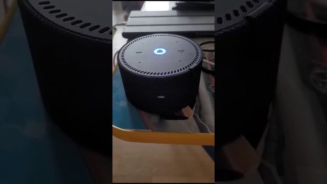 ХотЕл РассКазАтЬ АнЕкдОт ДлЯ АлИсЫ)≠ & УмнИчАеТ!!!][ #топ #shortvideo #а4 #рекомендации смотреть онлайн