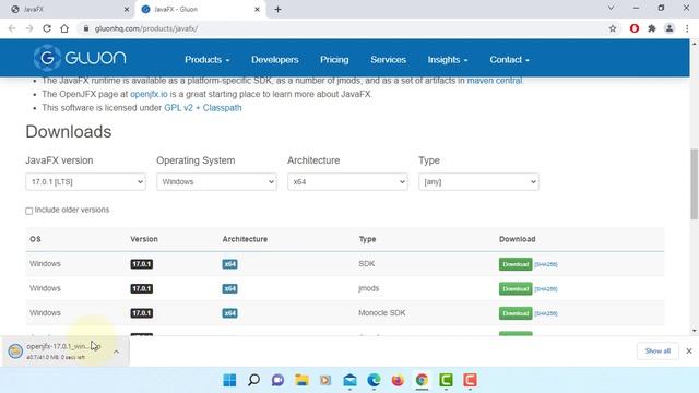 How to Install JavaFX 17.0.1 on Windows 11 x64 смотреть онлайн