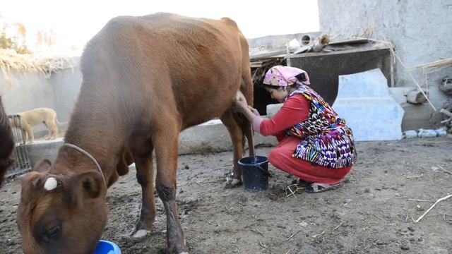 DEPORTATSIYA смотреть онлайн