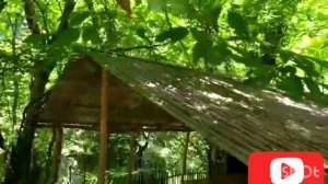 Азербайджан ❣ЛЕРИК ШИКАРНАЯ ЗОНА ?ОТДЫХА НА АВТОБУСЕ ?   Azerbaijan Lerik Lankaran our journey ?