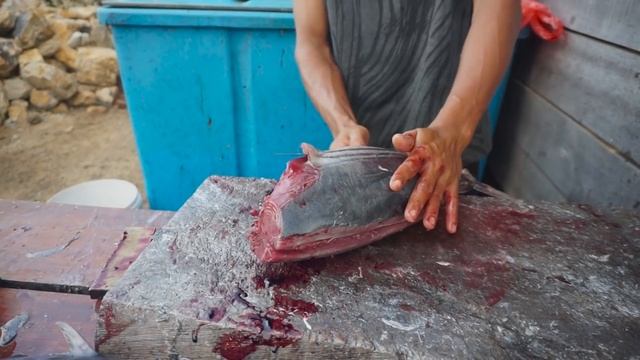 FASTEST SKILLS CUTTING || BIG SKIPJACK TUNA FISH CUTTING IN VIDEOS VIRAL 2021 смотреть онлайн