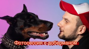Фотосессия с доберманом