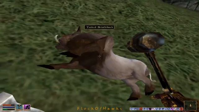 Bersaey 023 : Horker Corpse Loot , 44' | Morrowind w/QTMod смотреть онлайн