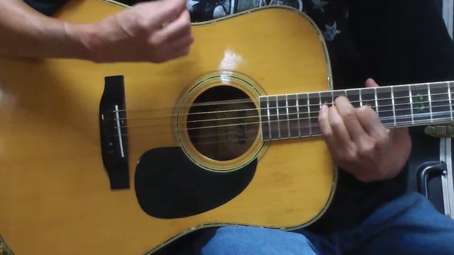 Morris W-40.Brazilian Rosewood  [A-105]