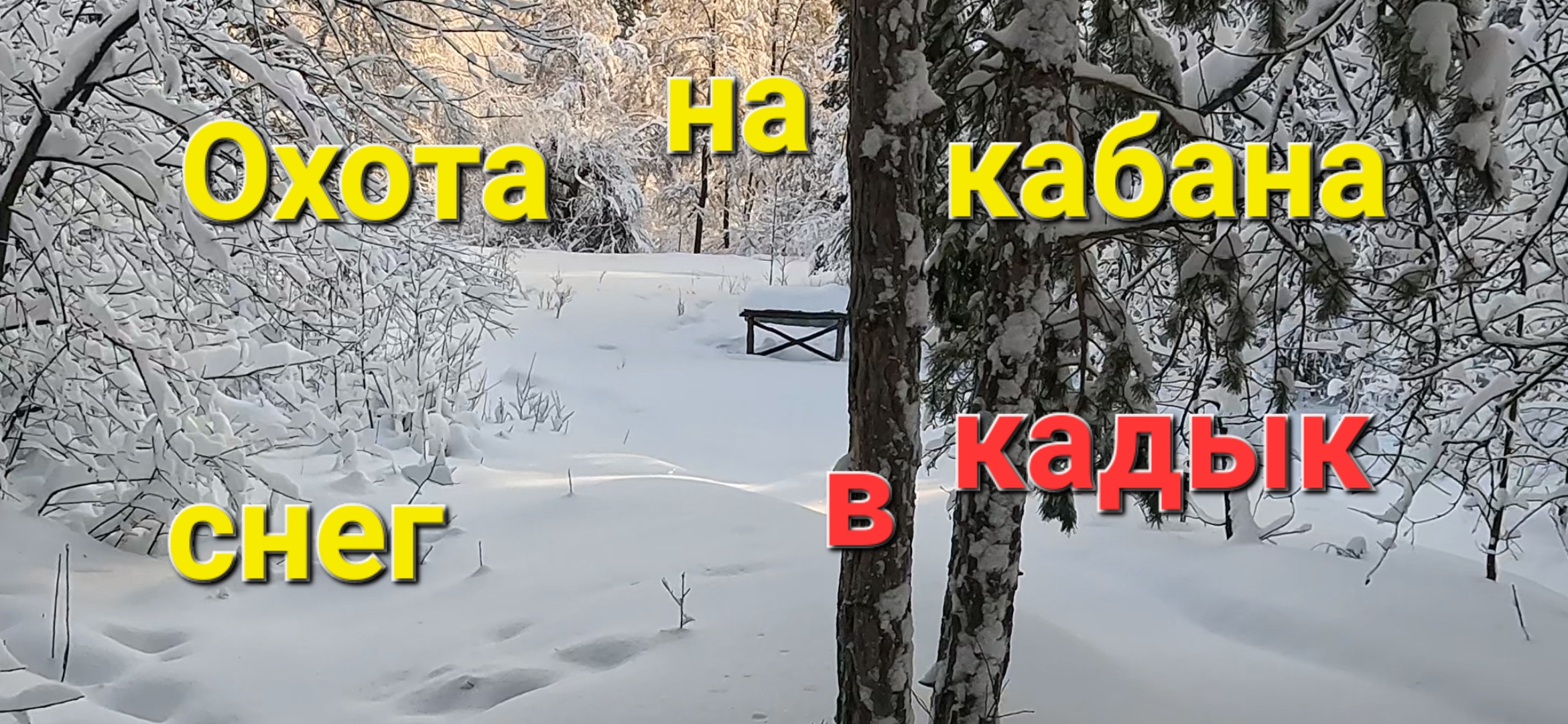 Охота кабан январь 2024 смотреть онлайн