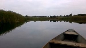 Влияние водной растительности, течения, состояния и рельефа дна на активность и клев рыбы