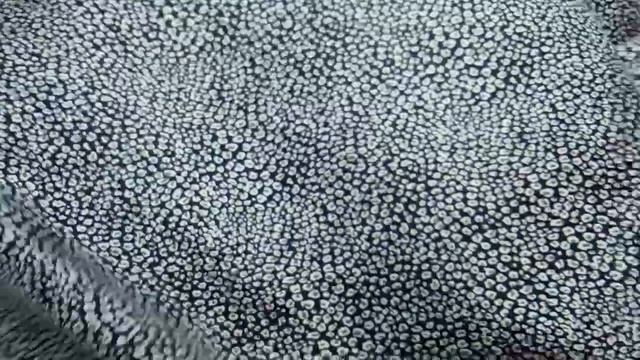 39-7430 Блузочно-плательный шелк-твил с рисунком "камушки", цвет черно-белый смотреть онлайн