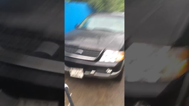 Как правильно мыть ковры