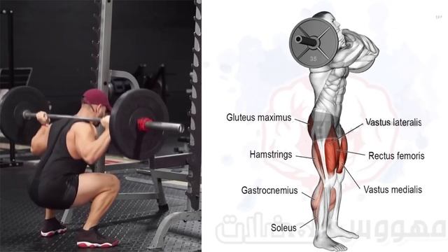 اقوى تمارين شد المؤخرة لمن يعاني من ترهل فيها | bodybuilding смотреть онлайн