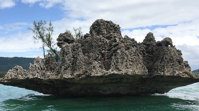 Rarest Snakes EVER Found смотреть онлайн