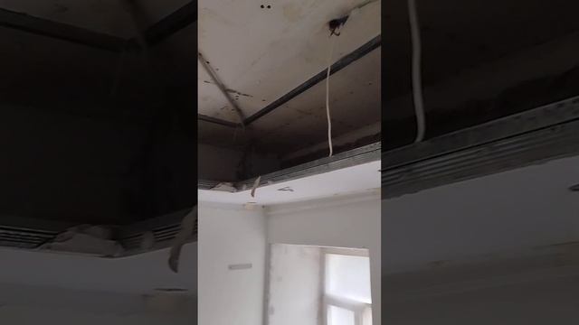 демонтаж потолка из ГКЛ. #демонтаж #демонтажстен #шлифовкапола #шлифовкастен смотреть онлайн
