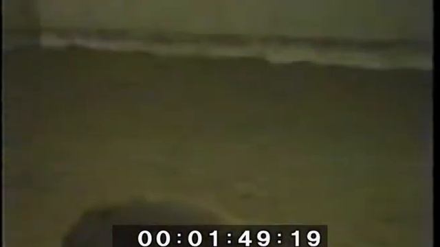 VTS01_1_1_81F3CC6588B74B56A38D смотреть онлайн