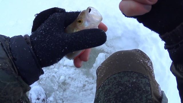 РЫБАЛКА НА РУЗЕ!РУЗСКОЕ ВОДОХРАНИЛИЩЕ ЛОВЛЯ В ФЕВРАЛЕ,ЛЕЩ ОКУНЬ ПЛОТВА! смотреть онлайн