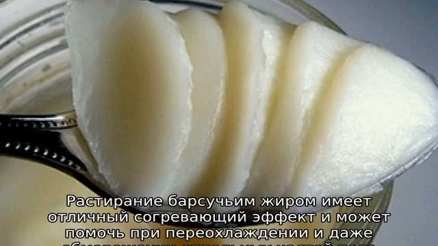 Как применять барсучий жир при кашле