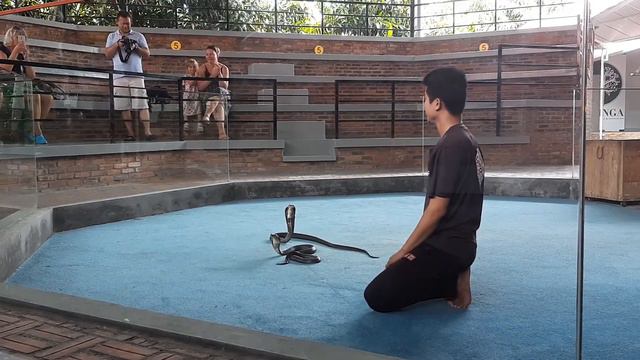 Вьетнам. Обзорная экскурсия смотреть онлайн