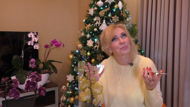 В НОВЫЙ ГОД без НОВЫХ ОРХИДЕЙ!? Это не про меня! смотреть онлайн