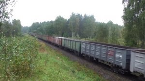 2ТЭ116-1217 с приветливой лок. бригадой, покидающий Россию, перегон Посинь - Zilupe, погран. зона Р