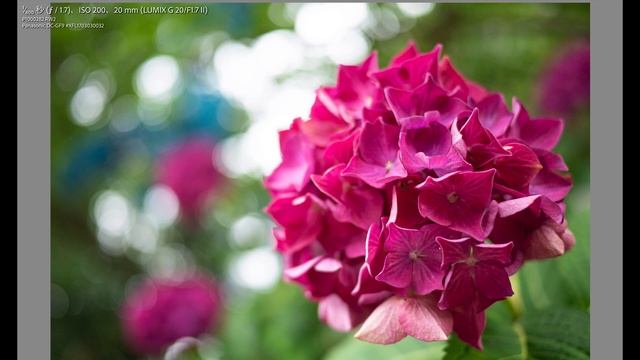 元祖パンケーキ神レンズ LUMIX G 20mm/F1.7 II ASPH. レビュー 150 смотреть онлайн