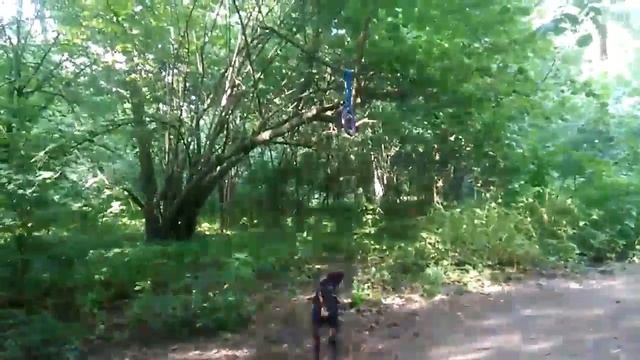 Ягдтерьер Джоник 1 год смотреть онлайн