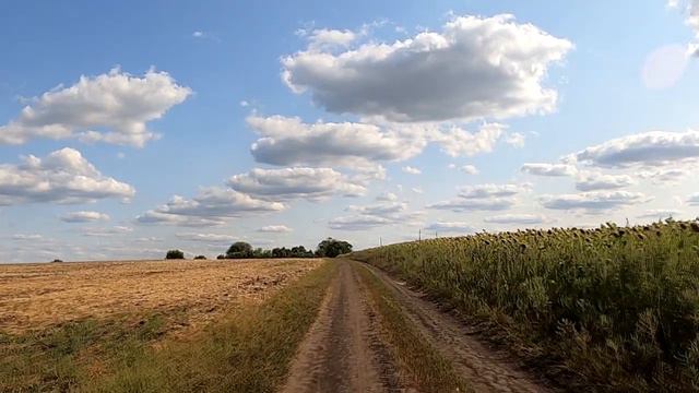 Мама не перестанет любить вас, даже когда ее сердце остановится. смотреть онлайн