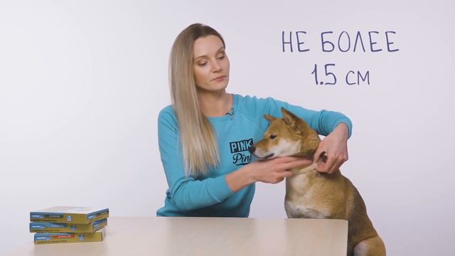 Ошейник Килтикс от клещей и блох смотреть онлайн