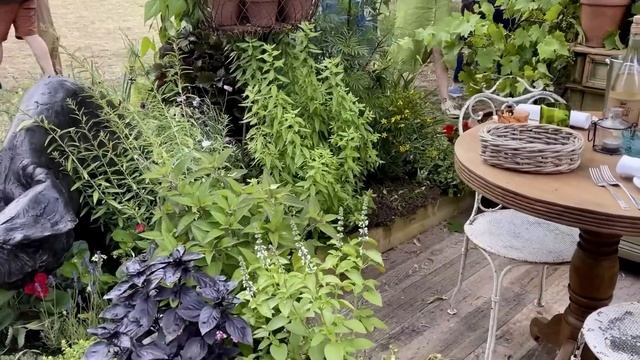 Фестиваль Цветов В Hampton Court 2023 Лондон (часть 2) - Hampton Court Garden Show 2023 London смотреть онлайн