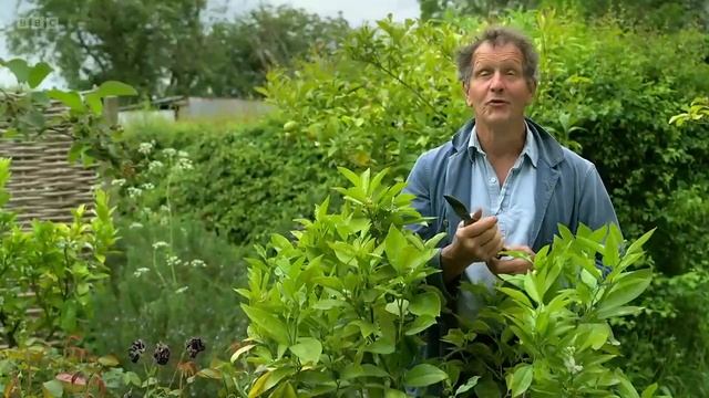 Gardeners' World -2023 New Episode 11 -Tomatoes Grown In Grow Bagsgardens.