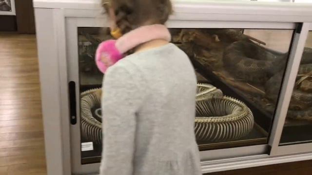 OMG - АНАКОНДА смотреть онлайн