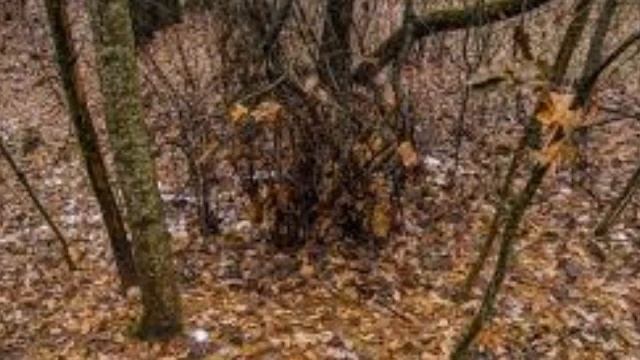 Новодевичий Монастырь смотреть онлайн