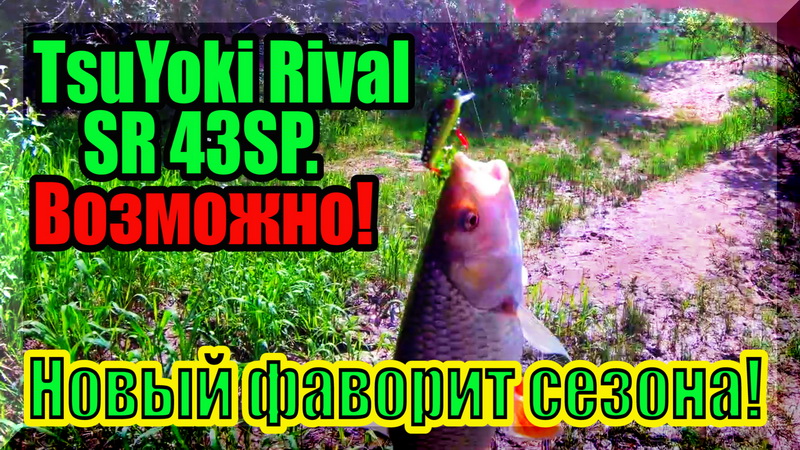 Первый ГОЛАВЛЬ и открытие купального сезона. Голавль на спиннинг. Рыбалка на малой реке. смотреть онлайн