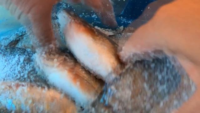 Засолка рыбы смотреть онлайн