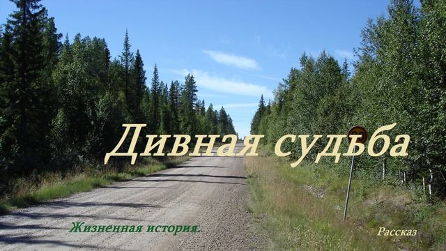 Дивная судьба.. (история-рассказ) смотреть онлайн