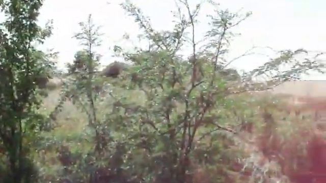 Рейд Квест 10-07-11 (20) смотреть онлайн